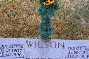 Robin Ector Wilson