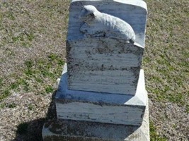 Robin L. Alcorn