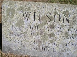 Robin L Wilson