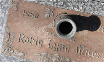 Robin Lynn Miles