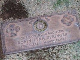 Robin Lynn Springer