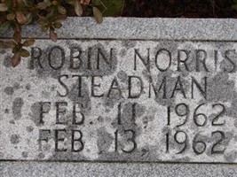 Robin Norris Steadman