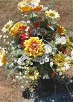 Robyn DeLaine Branch