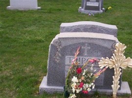 Rocco Tripodi
