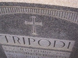 Rocco Tripodi