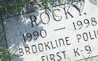 Rocky Rocky