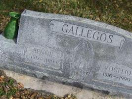 Rogelio Gallegos