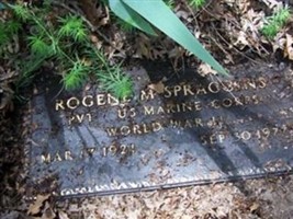 Rogene M Spraggins