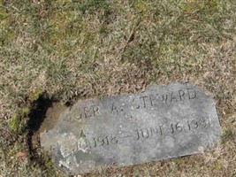 Roger A. Steward