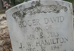 Roger David Hamilton Roger David Hamilton