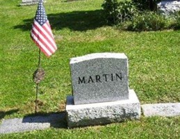 Roger W Martin