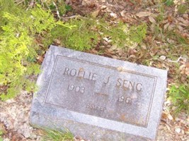 Rollie J Seng Rollie J Seng