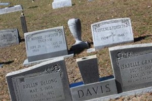 Rollin Delong Davis Rollin Delong Davis
