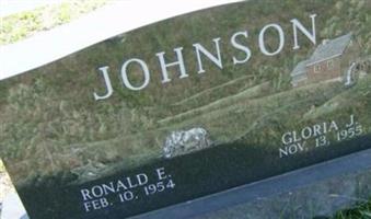 Ronald E. Johnson