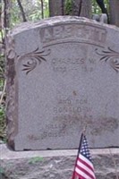 Ronald W. Abbott Ronald W. Abbott