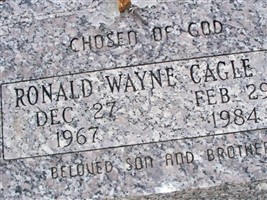 Ronald Wayne Cagle, Jr Ronald Wayne Cagle, Jr