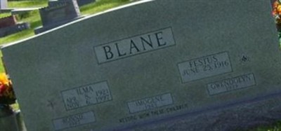 Ronnie David Blane (2077471.jpg)