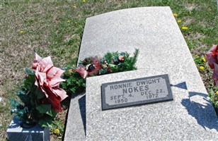 Ronnie Dwight Nokes