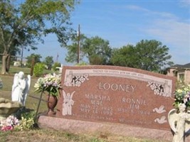 Ronnie Jim Looney Ronnie Jim Looney