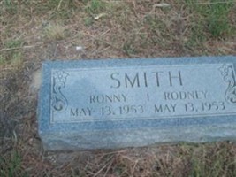 Ronny Lyn Smith