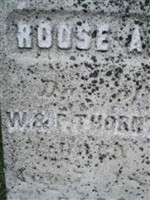 Roose Ann Thornton