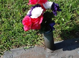 Roosevelt James