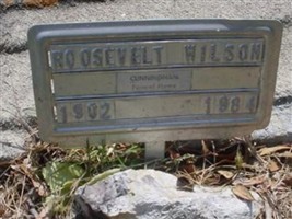 Roosevelt Wilson
