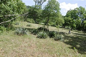 Roper-Sutters Cemetery Roper-Sutters Cemetery