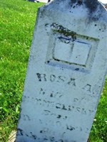 Rosa A McCluskey