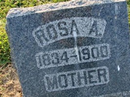 Rosa A McReynolds