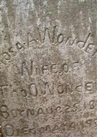 Rosa Alice Havens Wonders Rosa Alice Havens Wonders