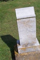 Rosa Alice Taylor Darlington Rosa Alice Taylor Darlington