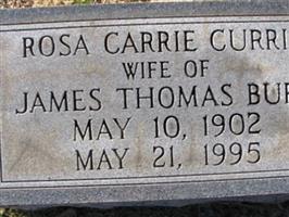 Rosa Carrie Currie Burr