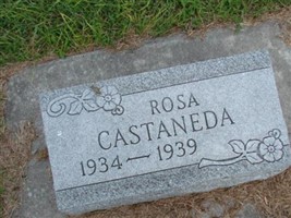 Rosa Castaneda Rosa Castaneda