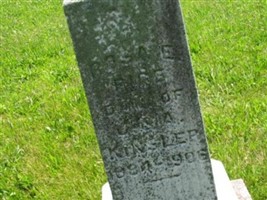 Rosa Ella Kinsler Rice