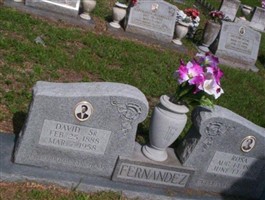Rosa Fernandez