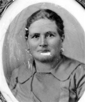 Rosa Geonetta