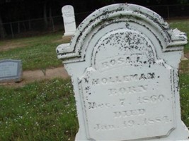 Rosa L Holleman