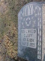 Rosa L Ivy