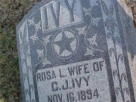 Rosa L Ivy
