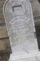 Rosa Lola OConnor