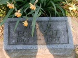 Rosa M Eckhardt