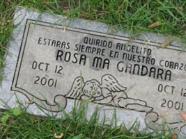 Rosa Ma Gandara