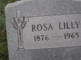 Rosa Moller Lilly