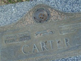 Rosa Moore Carter Rosa Moore Carter