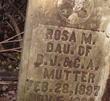 Rosa Mutter Rosa Mutter