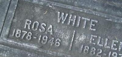 Rosa White