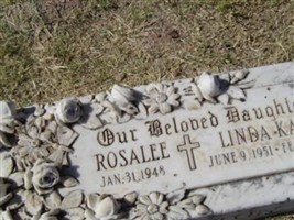 Rosalee Johnston Rosalee Johnston