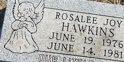 Rosalee Joy Hawkins Rosalee Joy Hawkins