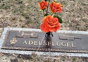 Rosalia G. Adelsflugel